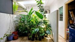 Changi South Avenue 1 (D16), Terrace #563508341